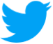 Twitter Logo